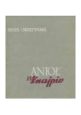 Anioł w knajpie