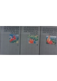 Archipelag Gułag 1918 - 1956 tom od I do III