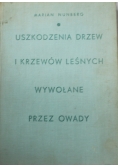 Uszkodzenie drzew i krzewów leśnych wywołane przez  owady