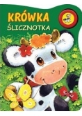 Krówka ślicznotka