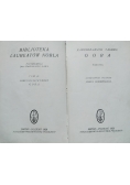 Gora, 1926 r.