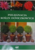 Pielęgnacja roślin doniczkowych