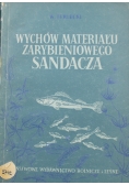 Wychów materiału zarybieniowego Sandacza