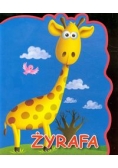 Żyrafa