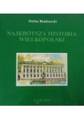 Najkrótsza historia Wielkopolski