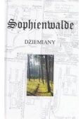 Sophienwalde Dziemiany