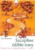Szczęśliwe źdźbło trawy