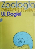 Zoologia bezkręgowców