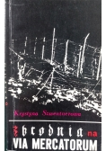 Zbrodnia na Via Mercatorium