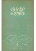 Zielone skrzypce