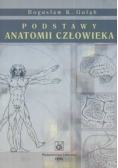 Podstawy anatomii człowieka