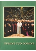 Numine Tuo Domine