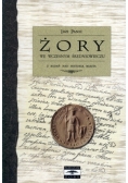 Żory we wczesnym średniowieczu. Z badań nad historią miasta