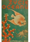 Życie oceanu 1938 r