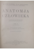 Anatomja człowieka, Tom II, 1927 r.