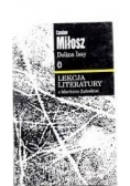 Lekcja literatury