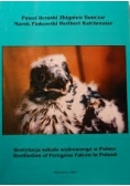 Restytucja sokoła wędrownego w Polsce