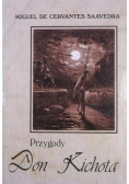 Przygody Don Kichota