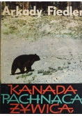 Kanada pachnąca żywicą