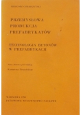 Przemysłowa produkcja prefabrykantów