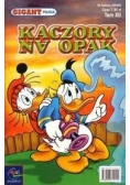Kaczory na Opak