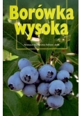 Borówka wysoka