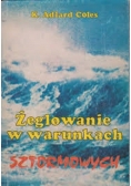 Żeglowanie  w warunkach sztormowych