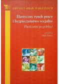 Elastyczny rynek pracy i bezpieczeństwo socjalne flexicurity po polsku