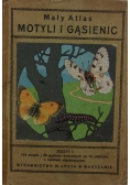 Mały atlas motyli i gąsienic, 1926r