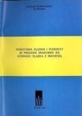Powstania Śląskie i plebiscyt w procesie zrastania się Górnego Śląska z macierzą