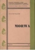 Morwa