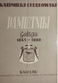 Pamiętniki Galicja 1943-1880-294s.