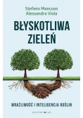 Błyskotliwa zieleń