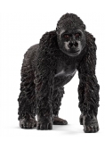 Gorylica