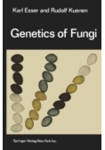 Genetics of fungi