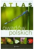 Atlas owadów polskich