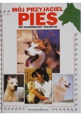Mój przyjaciel pies, mój najwierniejszy towarzysz