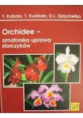 Orchidee- amatorska uprawa storczyków