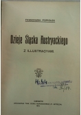 Dzieje Śląska Austryackiego, 1913 r.