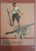 Kampania letnia na froncie rumuńskim w 1917 roku