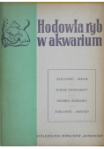 Hodowla ryb w akwarium