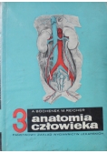 Anatomia człowieka 3