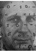 Jan Tarasin