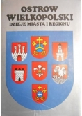 Ostrów Wielkopolski. Dzieje miasta i regionu