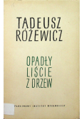 Opadły liście z drzew