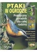 Ptaki w ogrodzie