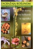 Zagrażają roślinom. Atlas chorób i szkodników