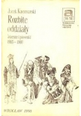 Rozbite oddziały. Wiersze i piosenki 1985 - 1988