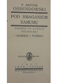 Pod Smaganiem Samumu 1927 r