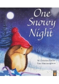 One snowy night